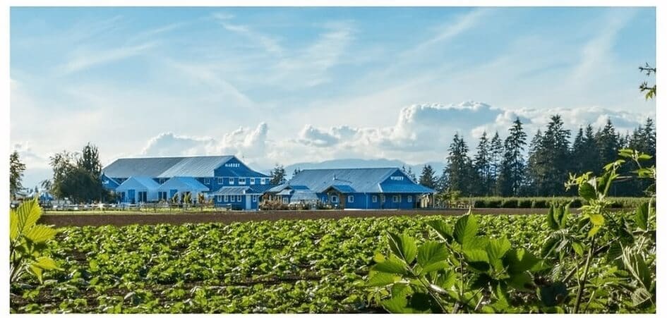 Krause Berry Farms