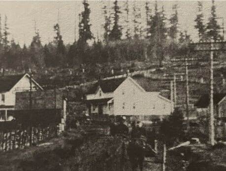 Princess-and-the-Pea-Hotel-originally-Travellers-Hotel.-circa-1890_459x347